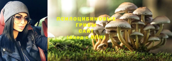 COCAINE Белокуриха