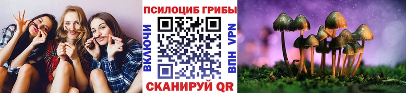Галлюциногенные грибы мицелий  Купить  Славгород 
